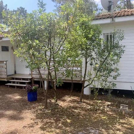 Appartement Mavalear Naturiste La Jenny *